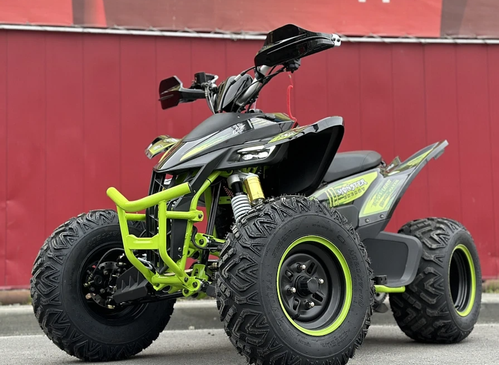 Квадроцикл PROMAX RAPTOR 300 AIR Monster