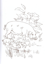 Альбом для раскрашивания полноцветный. Раскраски