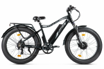 Электровелосипед VOLTECO BigCat Dual Next