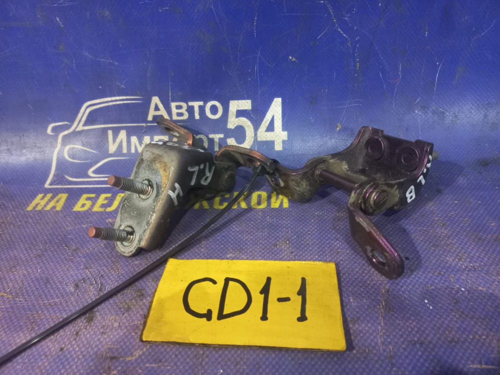 Петля двери задней левой Honda FIT 2008