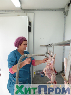 Линия убоя бройлера и несушки до 120 голов/час с вакуумным потрошением. Краснодарский край