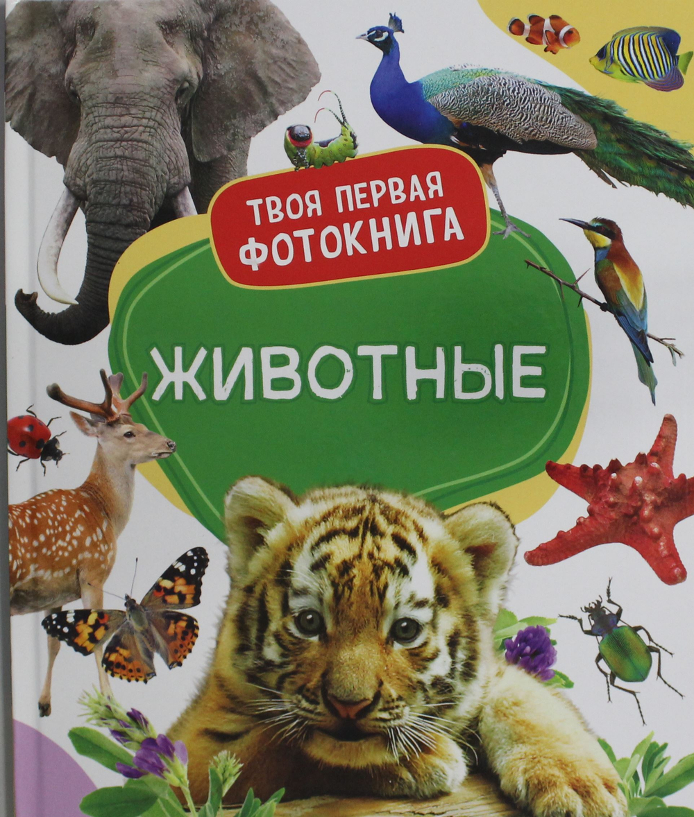 Животные. Твоя первая фотокнига