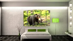 Модульная картина "Лесной медведь"