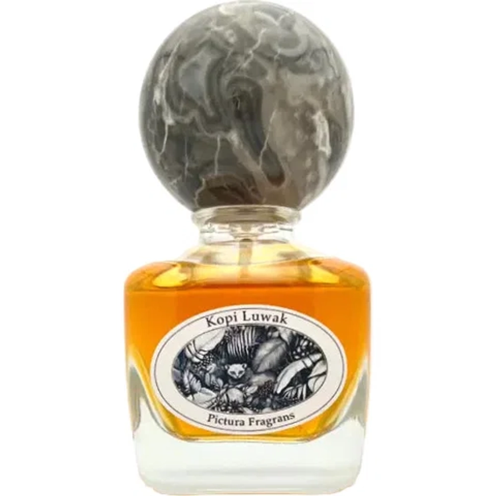 Pictura Fragrans Kopi Luwak