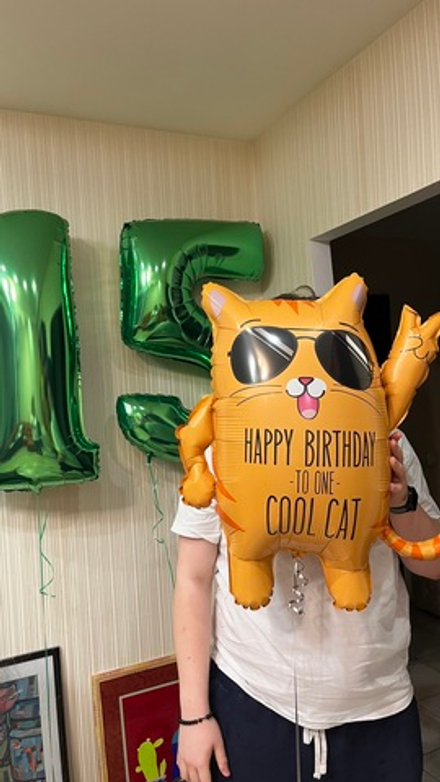 Набор 15 лет крутому коту