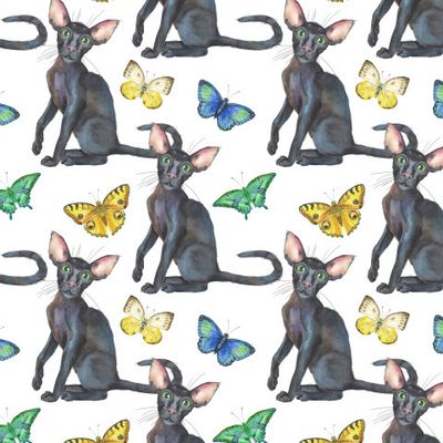 Черные коты 4