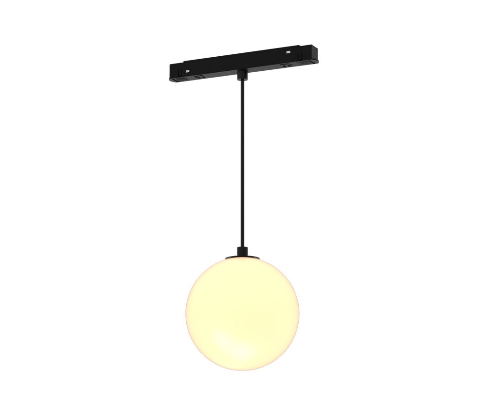 Магнитный трековый светильник Maytoni Luna TR039-2-5W3K