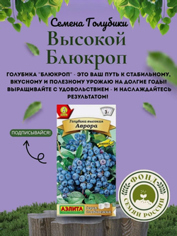 Голубика, Аврора, Семена Ягод, 0.01 гр.