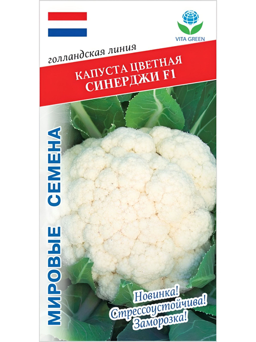 Семена капуста Синерджи F1 цветная, 10 семян (Vita Green / Вита Грин)
