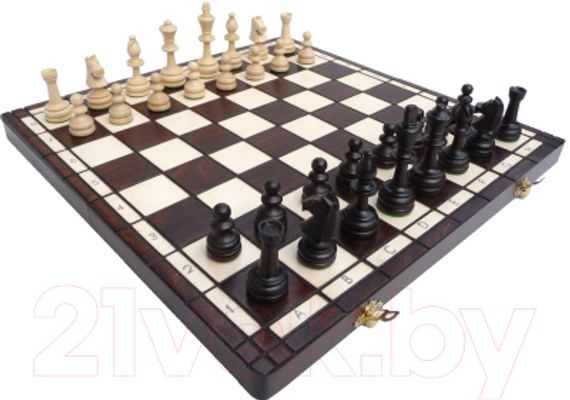 Şahmat oyunu (böyük ölçü)