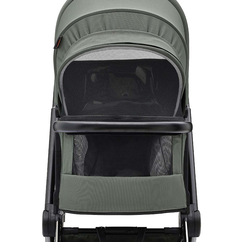 Коляска 2 в 1 Labala Raiz Edition Line 2025 Green