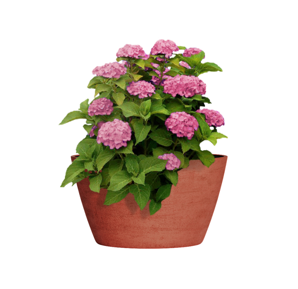 Кашпо, коллекция Color, форма BOWL