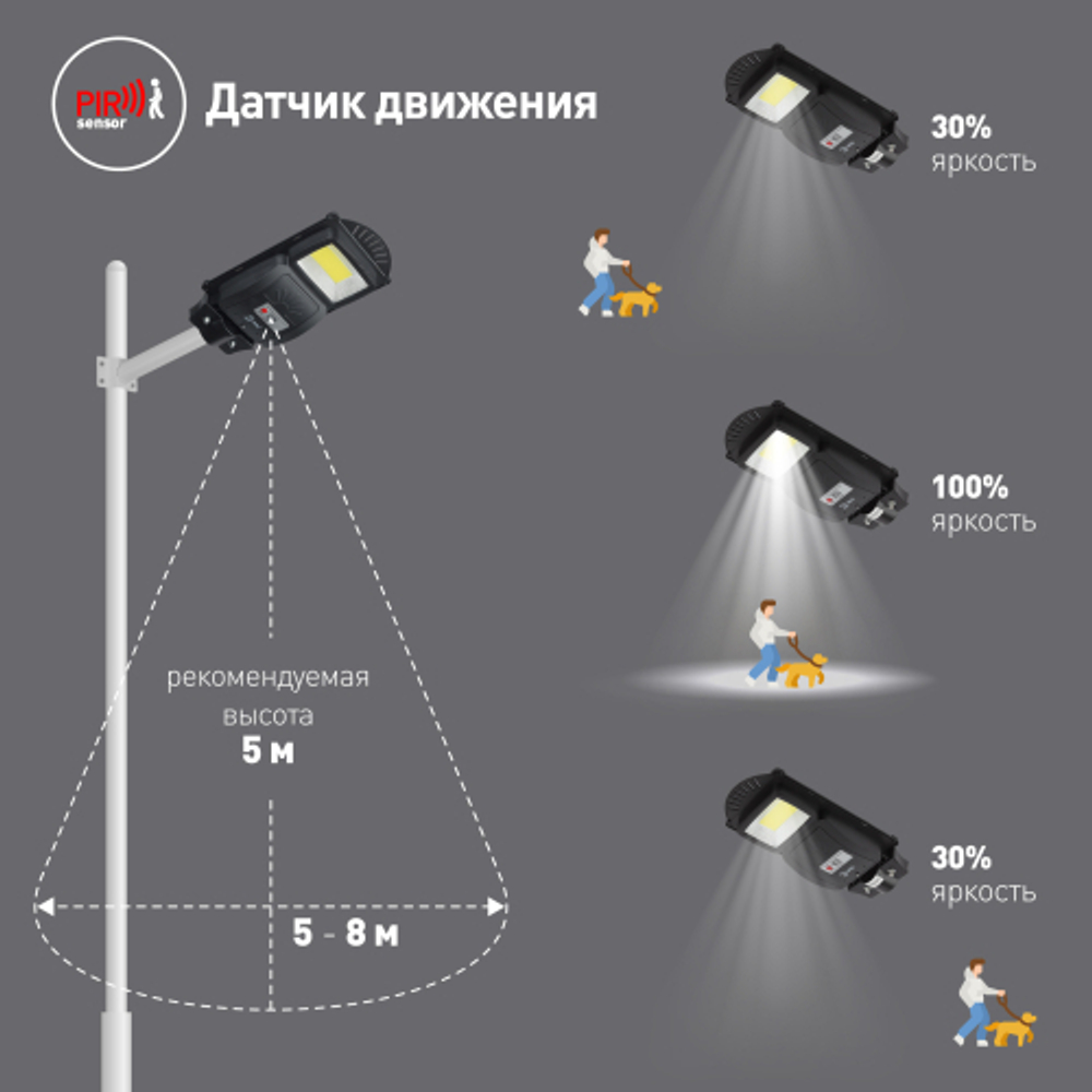 Консольный светильник ЭРА ERAKSC20-01 светодиодный уличный на солнечных батареях с датчиком движения 20 W 450 lm