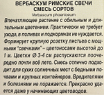 Вербаскум Римские свечи, смесь сортов СМЦ-932