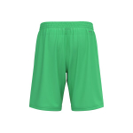 Шорты игровые Element Short — Light green spark