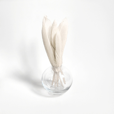 Перья утки бежевые 15 шт.