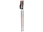 Горнолыжные палки StepSnow Poles