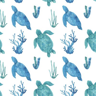 Sea Turtle