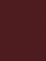 БАХИЛЫ СПЕЦИАЛЬНЫЕ ЗАЩИТНЫЕ BASK OVERBOOTS ARMOR PRO