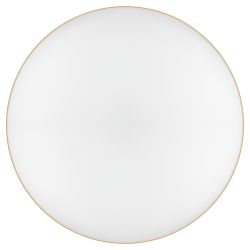 Светильник потолочный светодиодный ЭРА Классик с ДУ Relict 48 Pult SPB-6-60-RC MG 60Вт 3000-6500К Золото | Светильники SPB-6 с ДУ