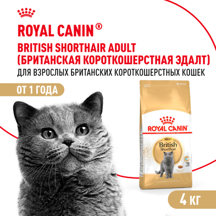 Royal Canin British Shorthair Adult Корм сухой сбалансированный для взрослых британских короткошерстных кошек - 4 кг