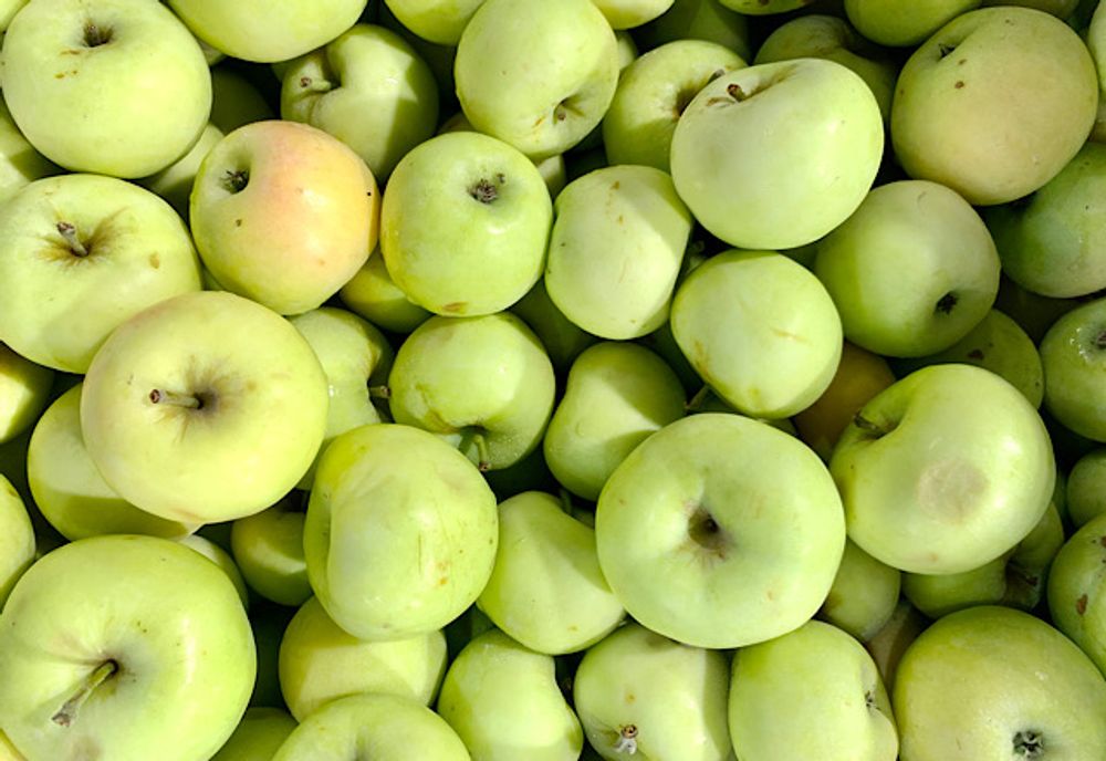 Яблоки Белый Налив, 1 кг
