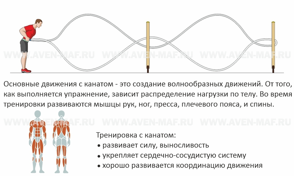Скамья для пресса