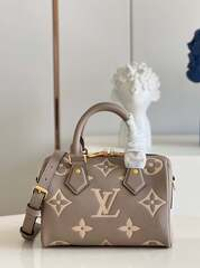 Louis Vuitton Speedy 20