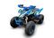 Квадроцикл RACER Typhoon 250