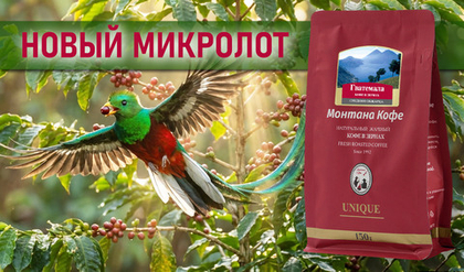 Гватемала Каталан Де Лас Мерседес