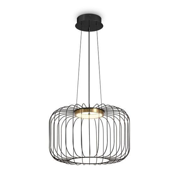 Подвесной светодиодный светильник Freya Citrus FR5398PL-L8B