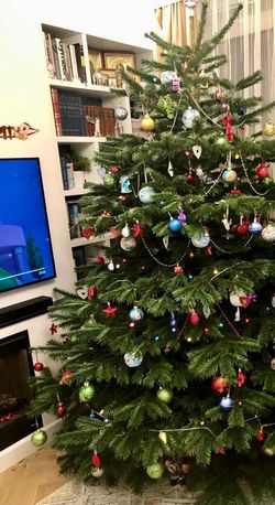 Фотогалерея