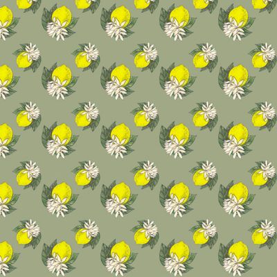 Лимоны фон Хаки