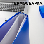 Папка с файлами DELI "Classic" на 80 вкладышей, 1,0 мм, в боксе, ассорти