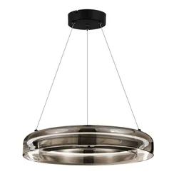 SL6019.333.01 Светильник подвесной ST-Luce Черный/Дымчатый, Белый LED 1*36W 3000K FORAY