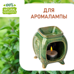 Мята, отдушка для свечей и мыла