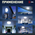 Светильник ЖКХ светодиодный ЭРА SPB-201-0-65К-015 IP65 15Вт 6500К D170 круг