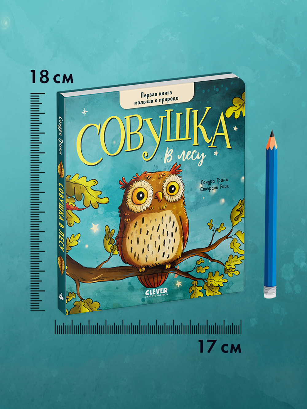 Книжки-картонки. Совушка в лесу. Первая книга малыша о природе