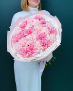 Нежные диантусы(00382)