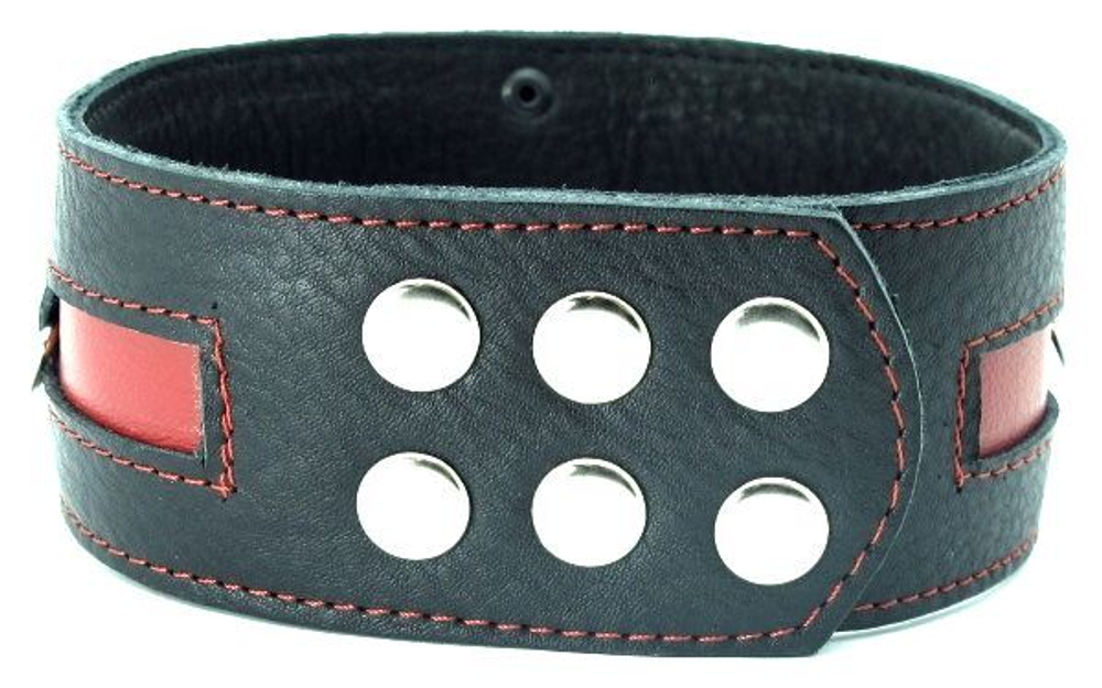 Чёрный кожаный ошейник с красной полосой и кольцами (Цвет: черный с красным)