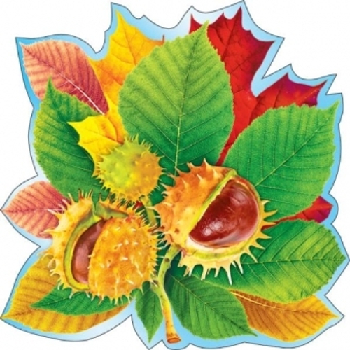 Украшение на скотче "Каштан", 46032 079.144