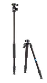 CULLMANN MUNDO 525M Black (55460)