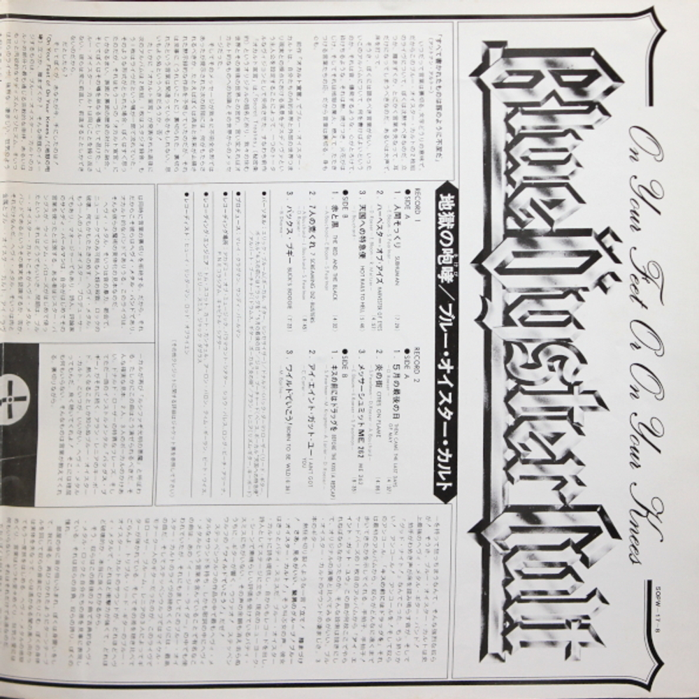 Blue Oyster Cult / On Your Feet Or On Your Knees (2LP)