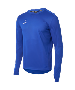 Джемпер тренировочный DIVISION PerFormDRY Pro Training Top, синий, детский
