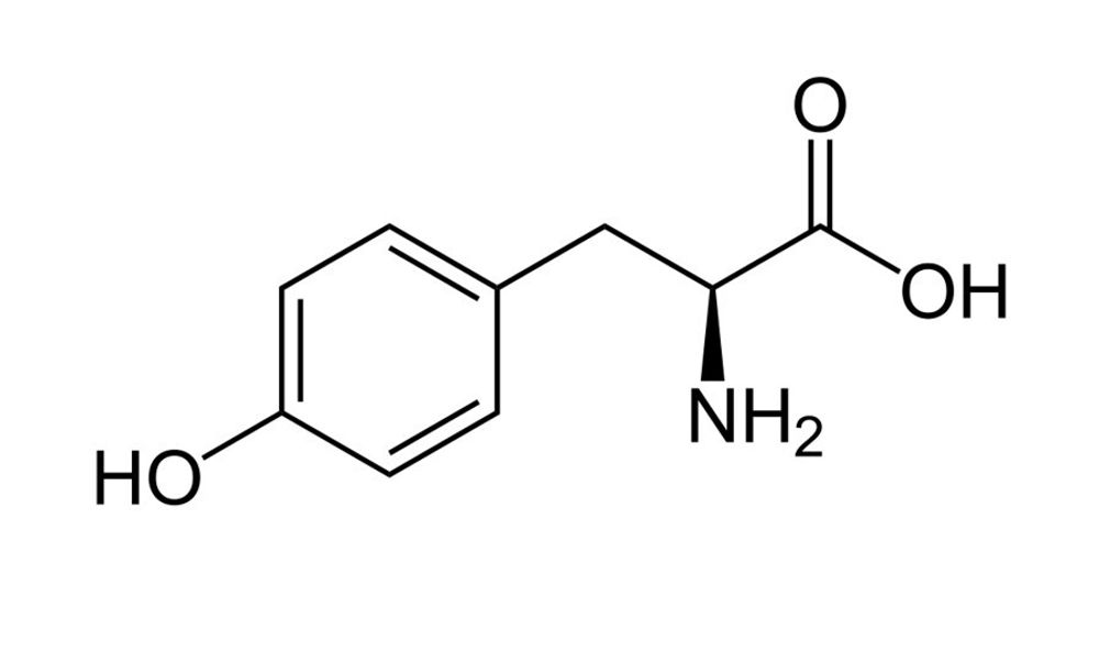 L-(-)-Тирозин структура формула