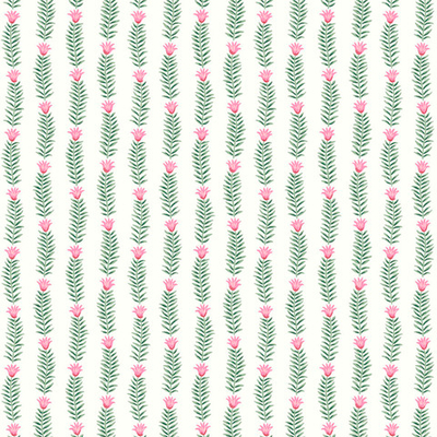 Rifle Paper Co. Second Edition