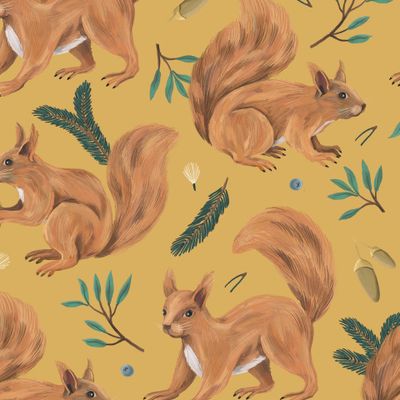 Белки на желтом фоне