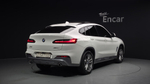BMW X4 (G02) xDrive20i M Sport X