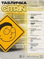 Табличка декоративная "Morty Smith" из сериала Рик и Морти, на дверь и стену, прикольная штука в подарок фанату, декоративный знак ЦИТРИН, 24,5х24,5 см, пластиковая, Айдентика Технолоджи
