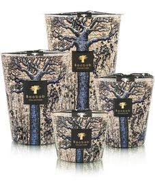 Seguela, свеча MAX 10 Sacred Trees collection, Baobab Collection